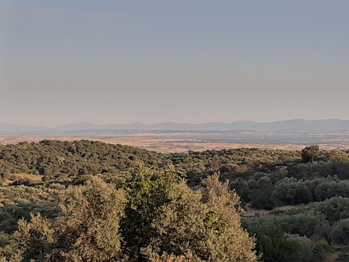 Sierra San Vicente *